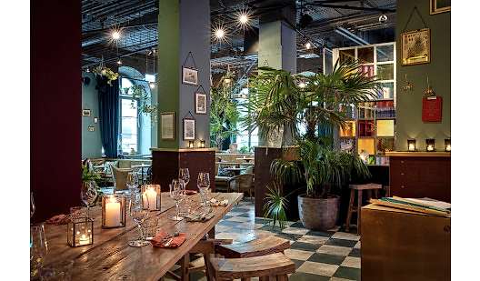 25h koningsbaviaan steveherud neni orangerie medium 1