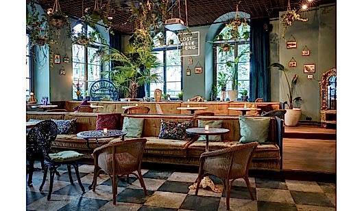 25h koningsbaviaan steveherud neni orangerie medium 5