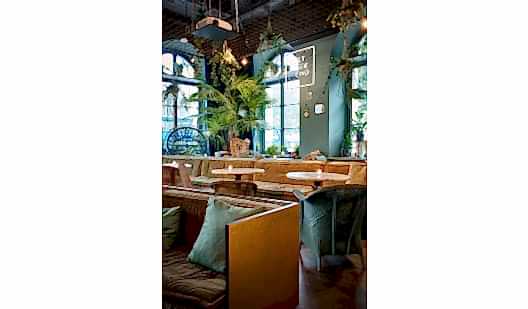 25h koningsbaviaan steveherud neni orangerie medium 9