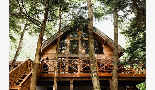 293522188 736427694275368 8397781478113367936 n