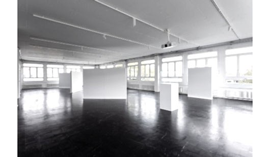 plush74 art gallery studio loft zurich 1