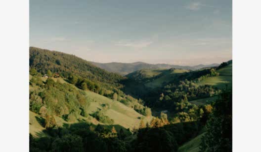 plush74 black forest house 1650 4