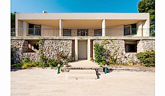 plush74 coleottero1 29