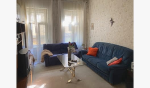 peluche74 ddr appartamento 1