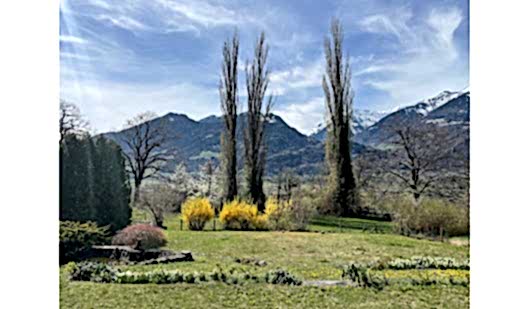 plush74 film photo event location switzerland maienfeld villa nature gardens 1