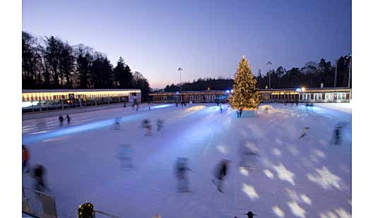 plush74 ice rink zurich 3