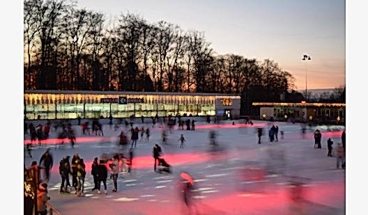 plush74 ice rink zurich 4