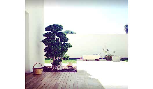 plush74 italy apulia location rent shoot film photo modern villa pool 3