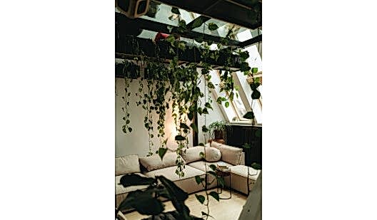 plush74 japanese wisdom hub 3