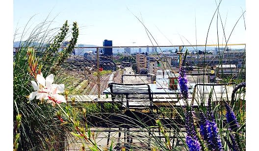 plush74 kantine hermetschloo 4