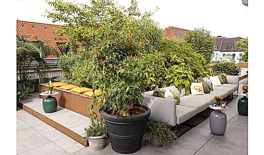 peluche74 location film foto evento munich germania00002