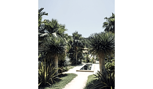 plush74 location film foto ibiza spagna villa spazio eventi00039