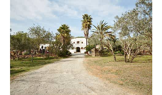 plush74 location ibiza house garden campo122