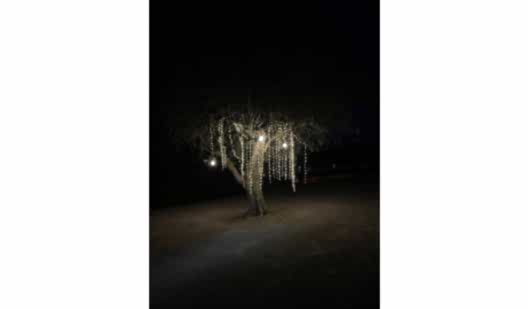 plush74 location ibiza restaurant garden film photo event119