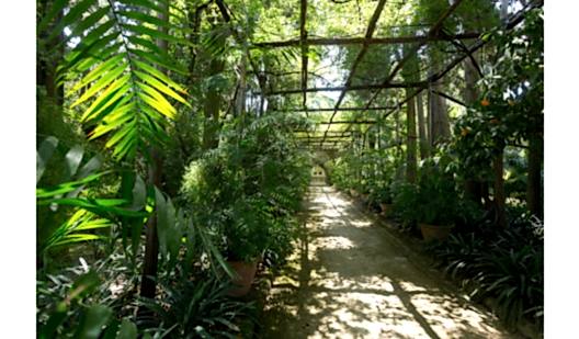 plush74 napoli villa garden 3