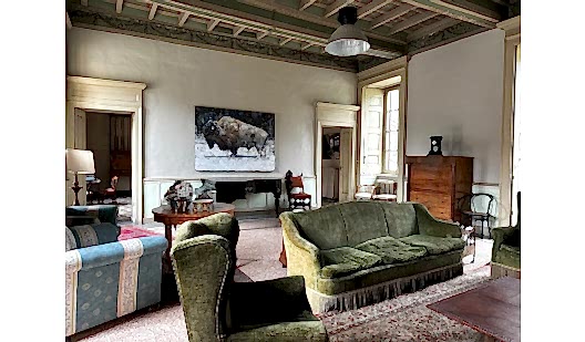 plush74 neoclassical villa near milan 2(1)