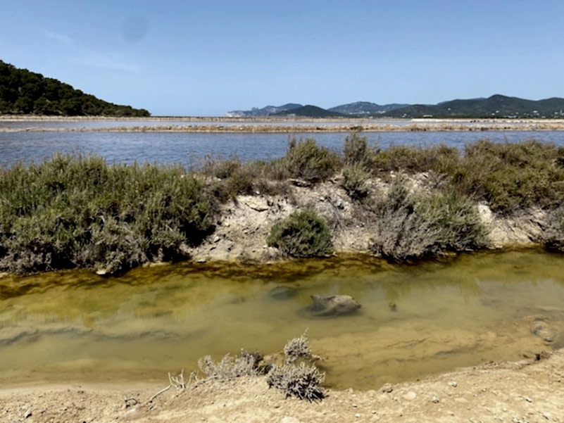 ilike ibiza locations salt lakes00074