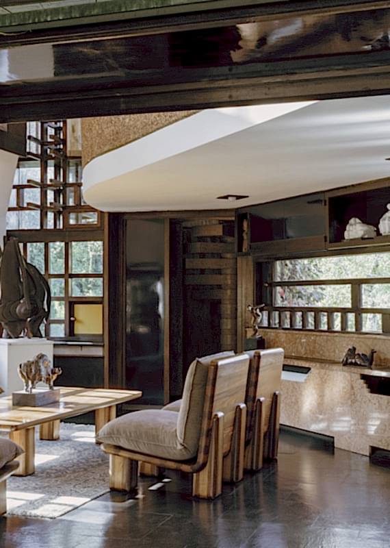 plush74 coleottero 10