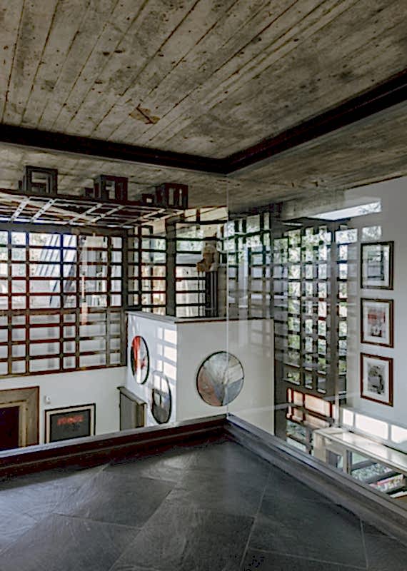 plush74 coleottero 14