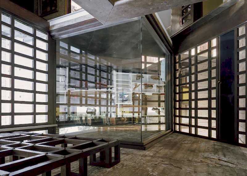 plush74 coleottero 15(1)