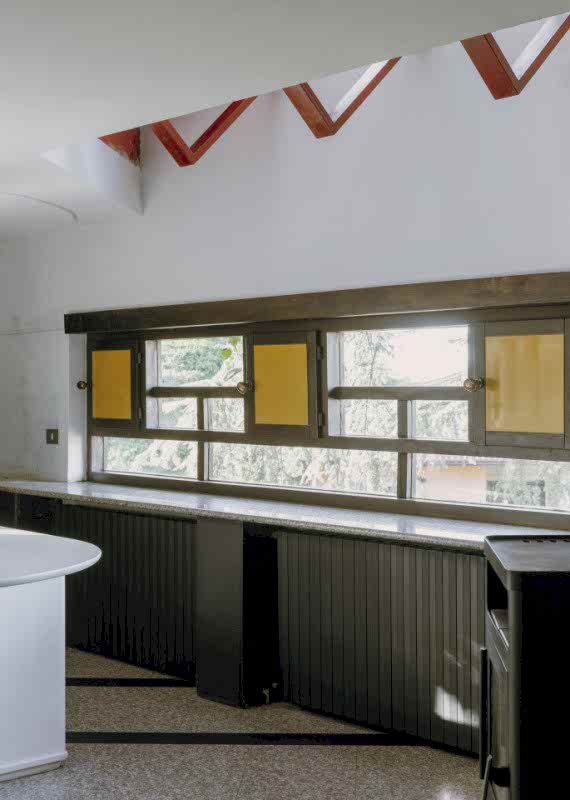 plush74 coleottero 18