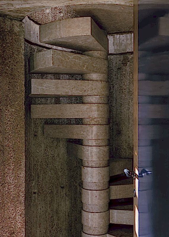 plush74 coleottero 24