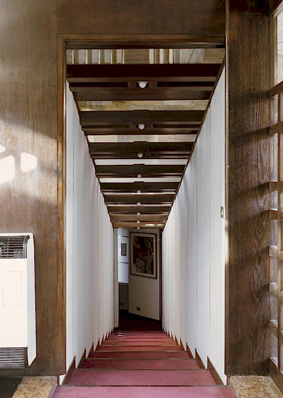 plush74 coleottero 30