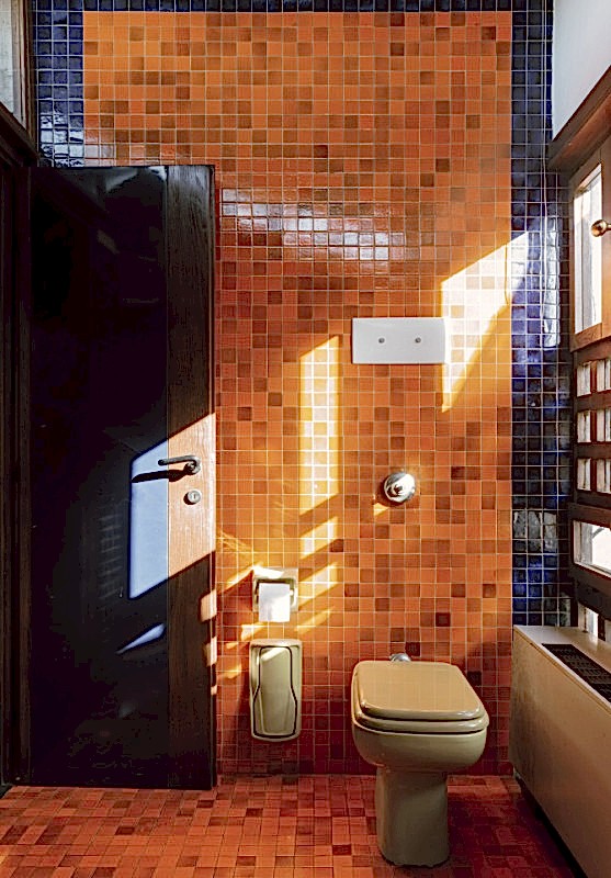 plush74 coleottero 31