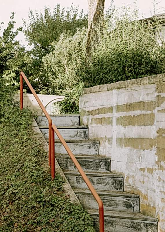 plush74 coleottero 35(1)