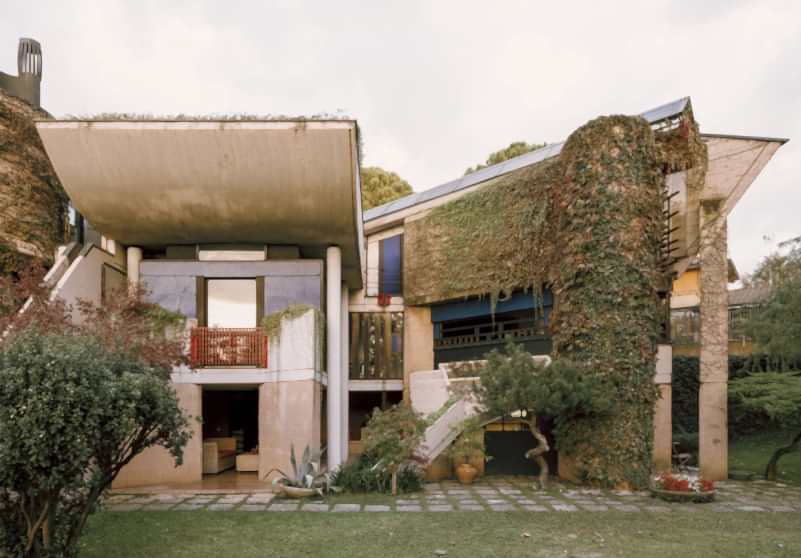 plush74 coleottero 36