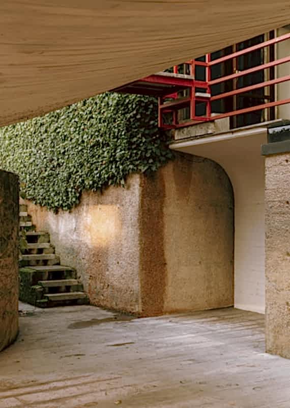 plush74 coleottero 37(1)