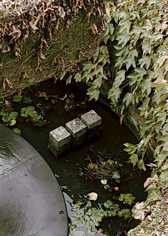 plush74 coleottero 38(1)