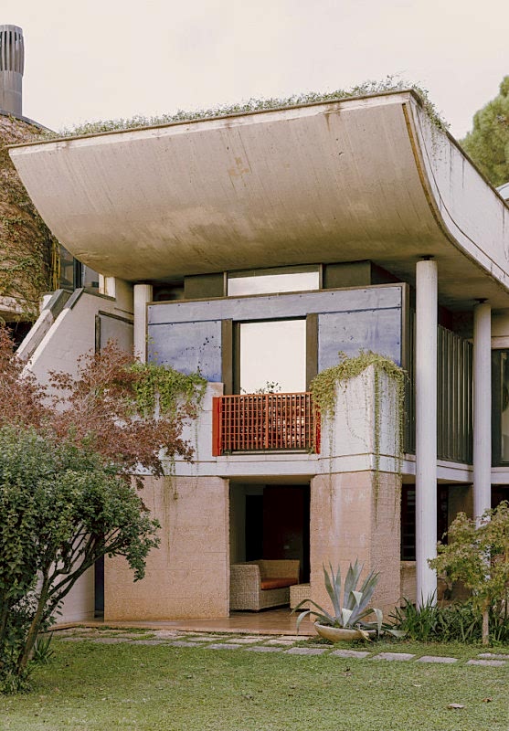 plush74 coleottero 41