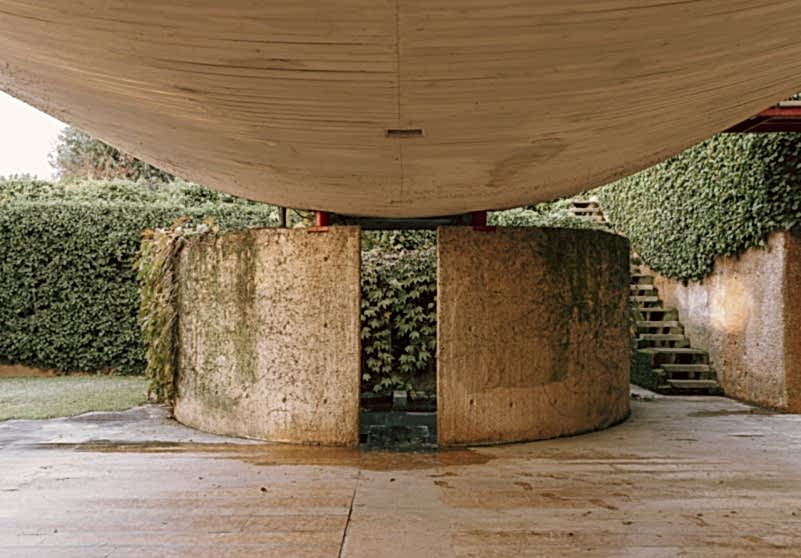 plush74 coleottero 42