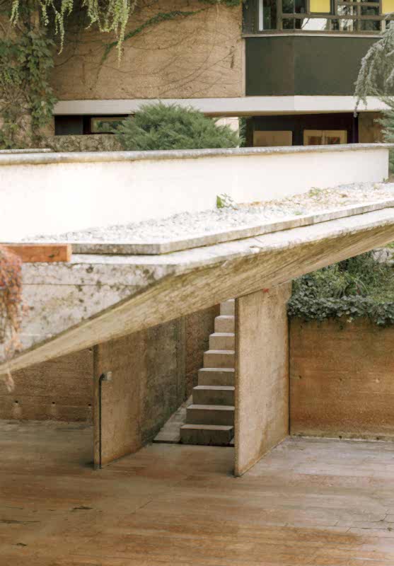 plush74 coleottero 45