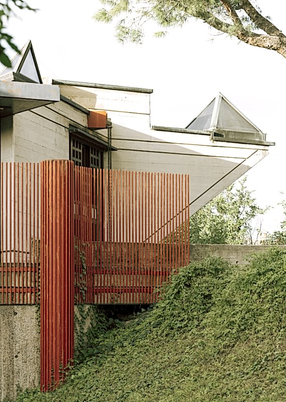 plush74 coleottero 46