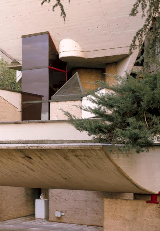 plush74 coleottero 48