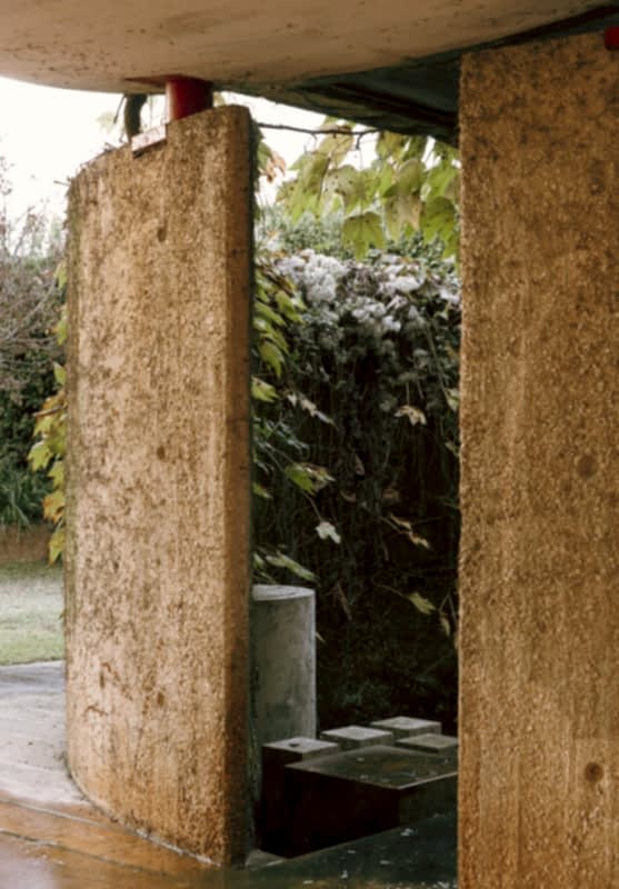 plush74 coleottero 49