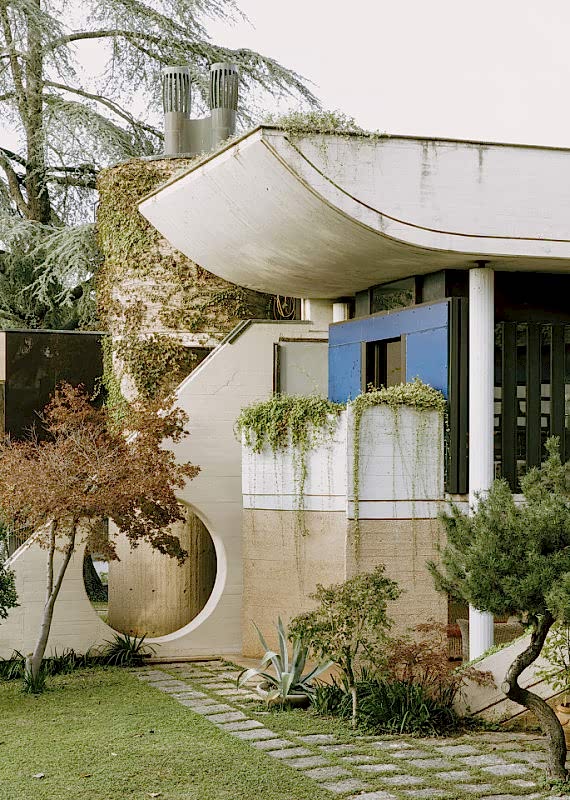 plush74 coleottero 53(1)