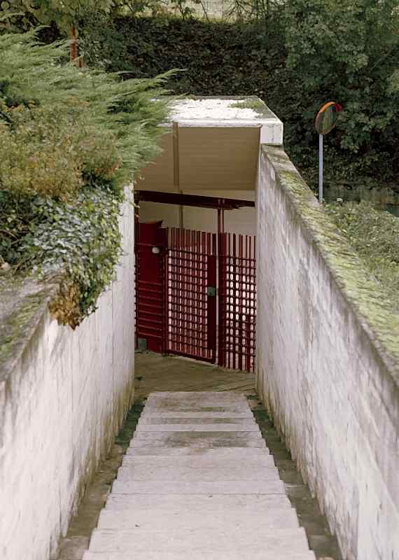 plush74 coleottero 54(1)