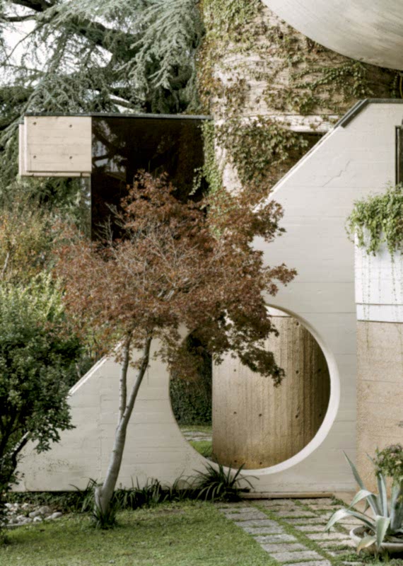 plush74 coleottero 56