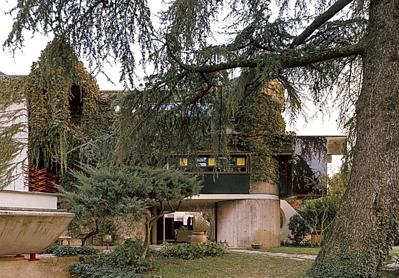 plush74 coleottero 57