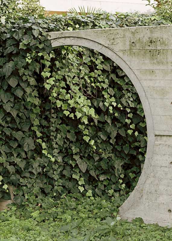 plush74 coleottero 59