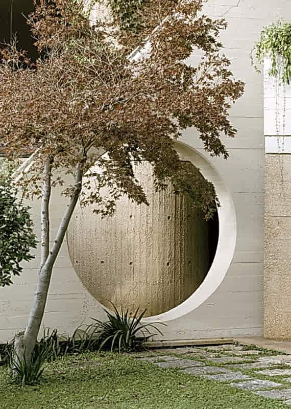 plush74 coleottero 60