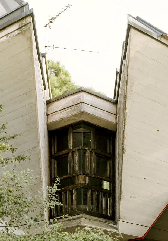 plush74 coleottero 61