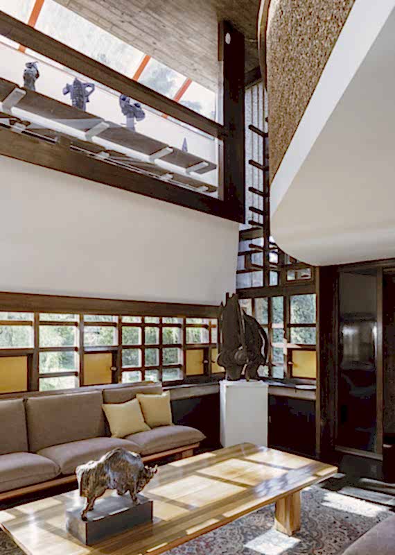 plush74 coleottero 7(1)