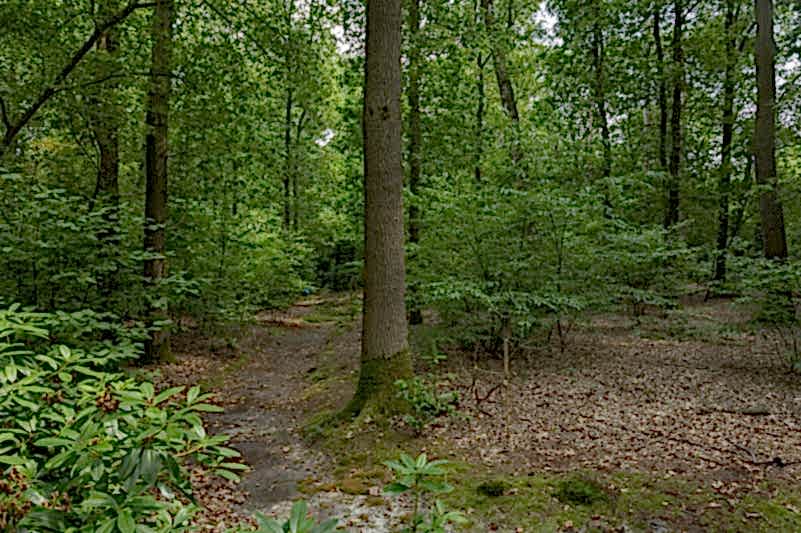 plush74 country villa laren 109