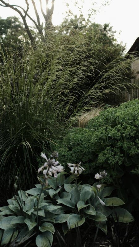 plush74 countryside serenity uckermark 18(1)