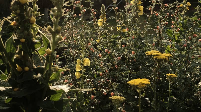 plush74 countryside serenity uckermark 20(1)