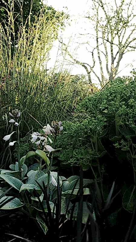 plush74 countryside serenity uckermark 21(1)